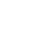 logo-bivaldi